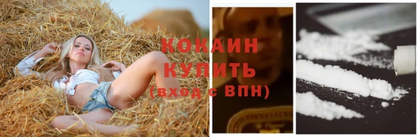 ешки Богданович