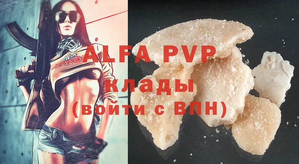 ешки Богданович