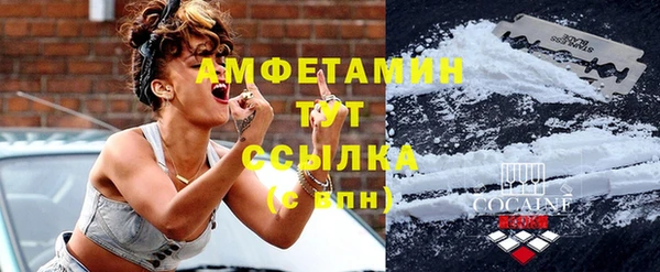 молекула духа Богородицк