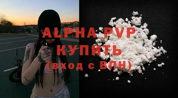 молекула духа Богородицк